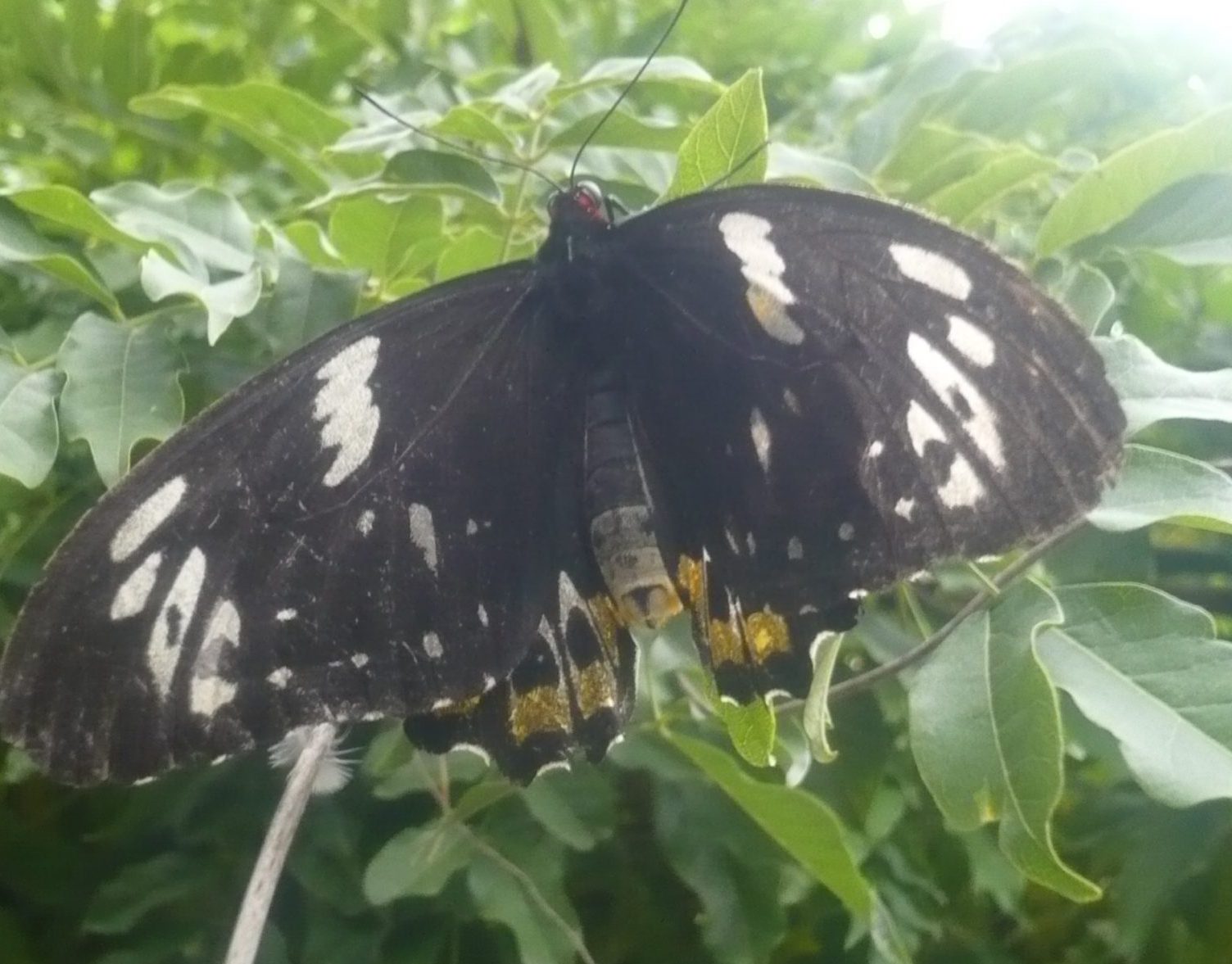 Veränderungskompetenz ist unsere DNA Unternehmensberatung Reutlingen Bettina Schmidt PROAKTIV